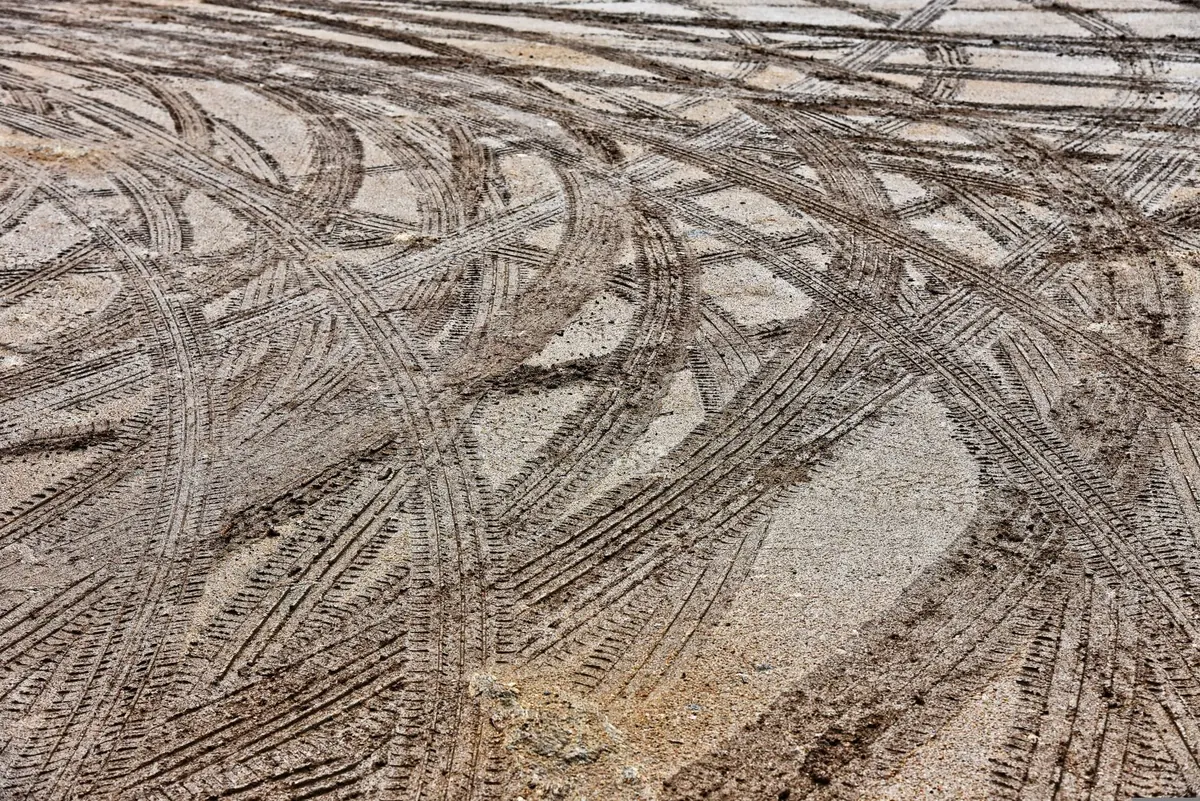 How to Record Animal Tracks and Signs Without Disturbing Wildlife